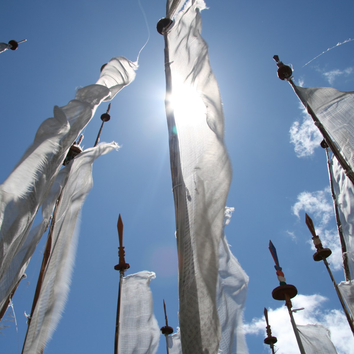 Learnings on humanisation