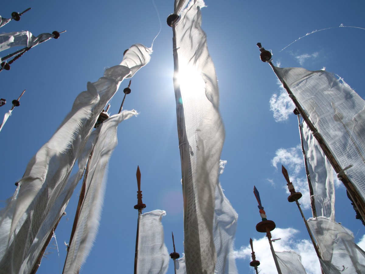 Learnings on humanisation