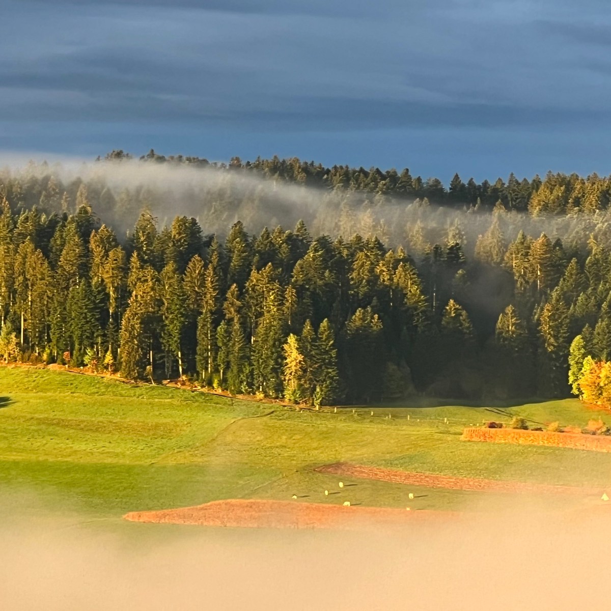 Intangible assets – with you for&nbsp;life