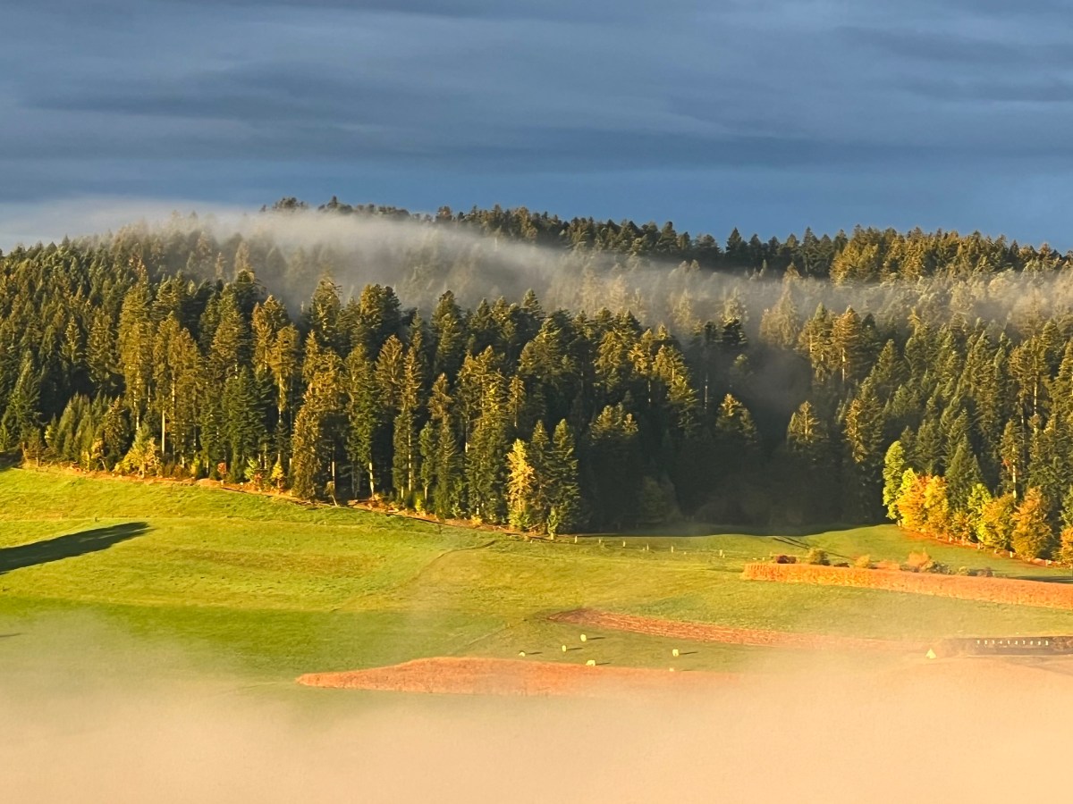 Intangible assets – with you for&nbsp;life