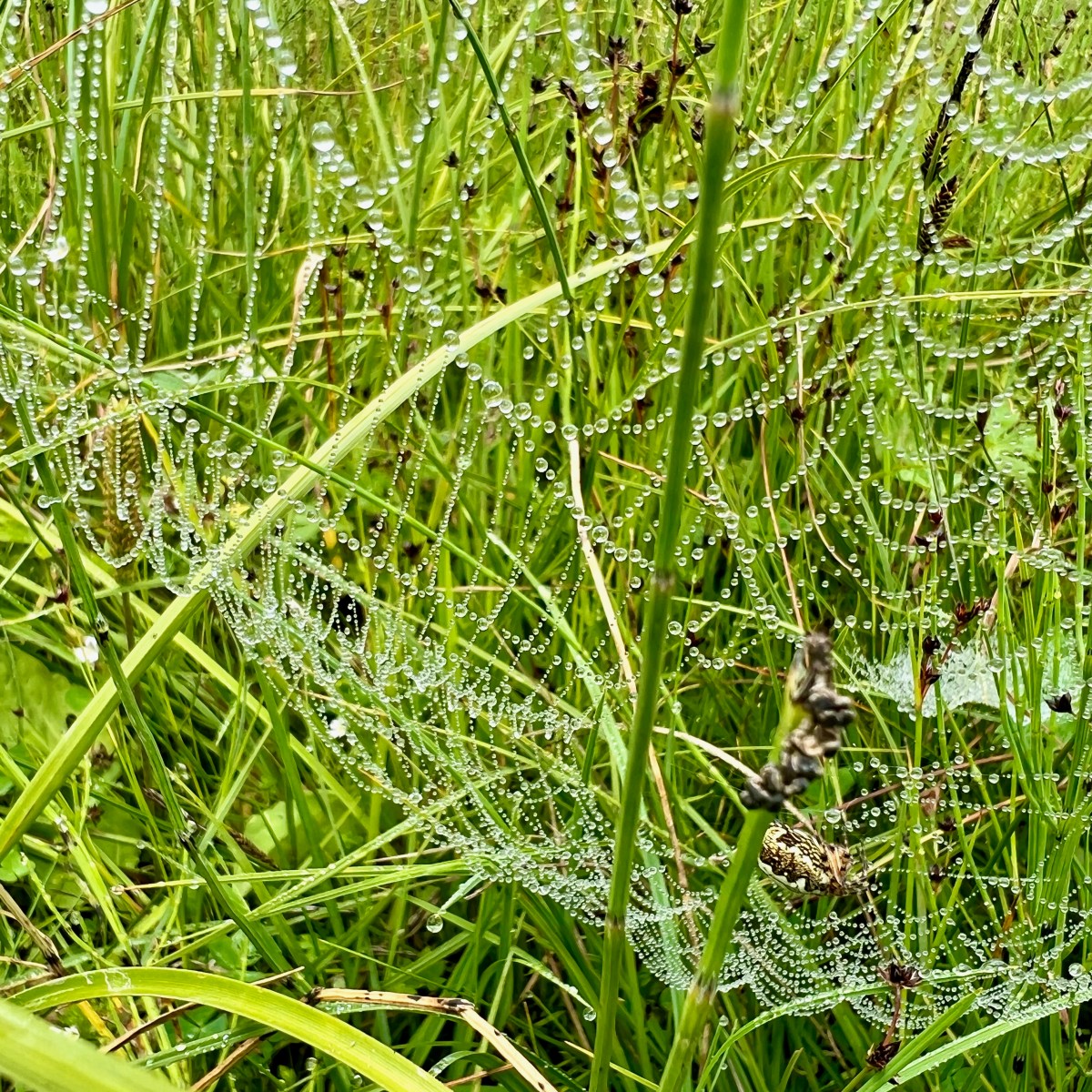 Active engagement in our local communities – an unachieved&nbsp;priority